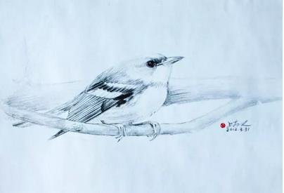 1477963958109558.jpg 11.jpg