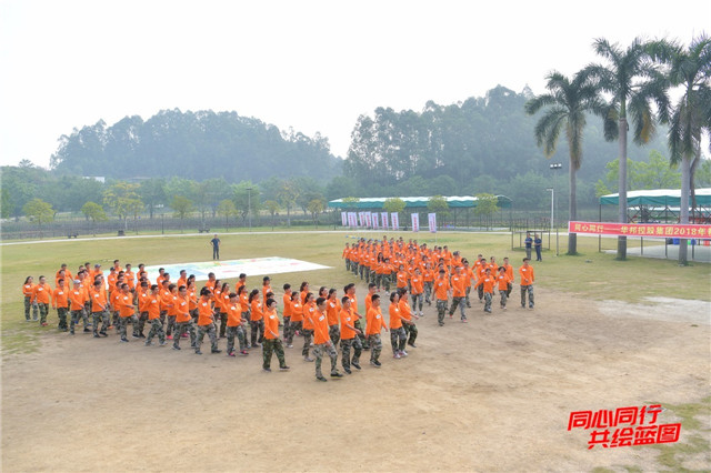 1542078999347567.jpg 01.jpg