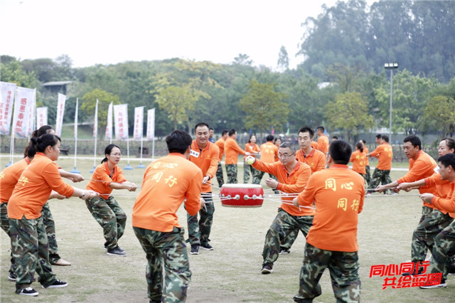 1542079127825005.jpg 03.jpg