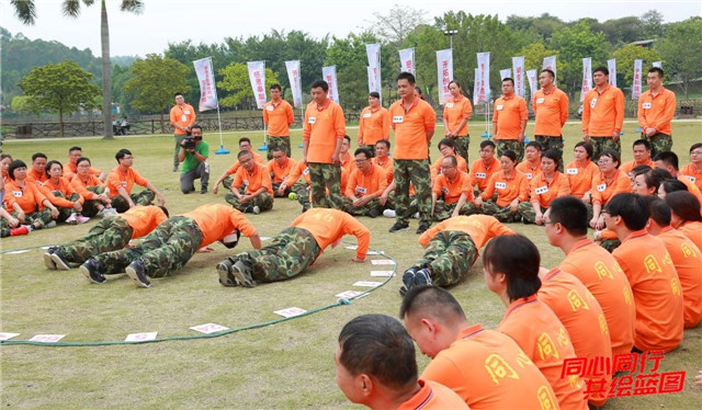 1542079147121874.jpg 05.jpg