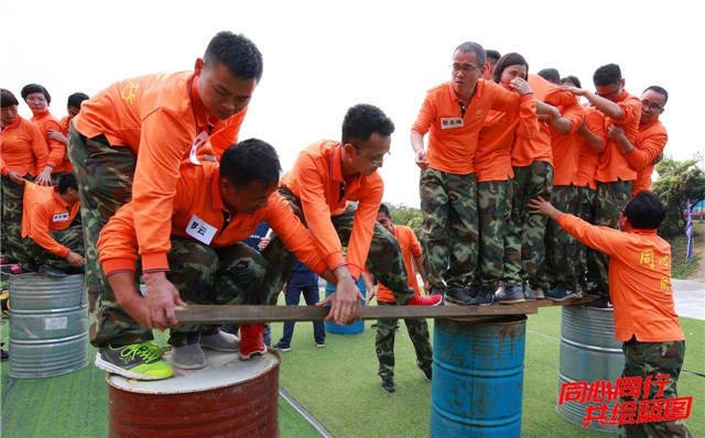 1542079224310388.jpg 08.jpg