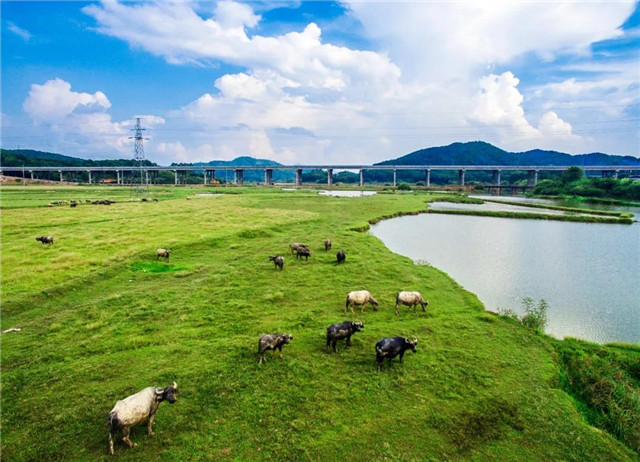 1544409410955477.jpg 12.jpg