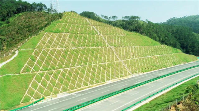 1544409416118449.jpg 13.jpg