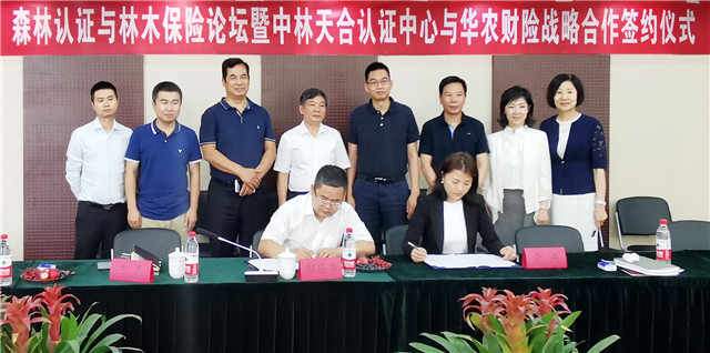 签约现场-.jpg