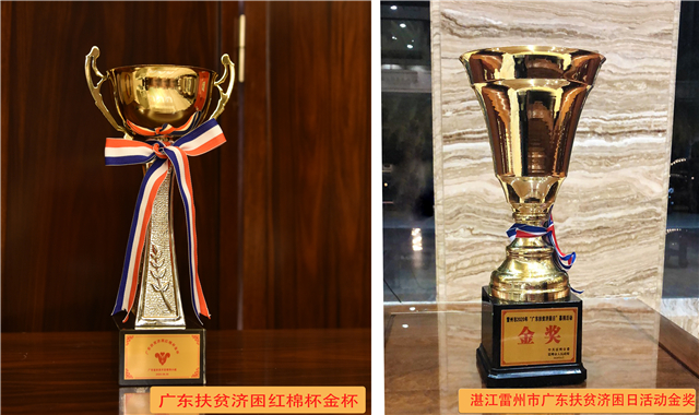 1593571795935075.jpg 两个奖杯.jpg