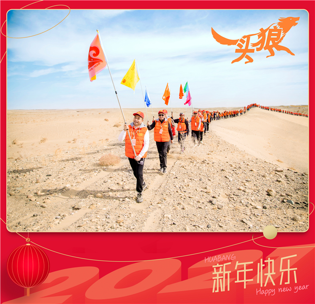 1609420671521276.jpg 头狼-微信图.jpg