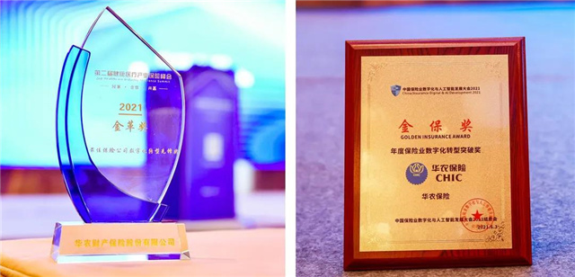 1625795144426302.jpg 36.jpg