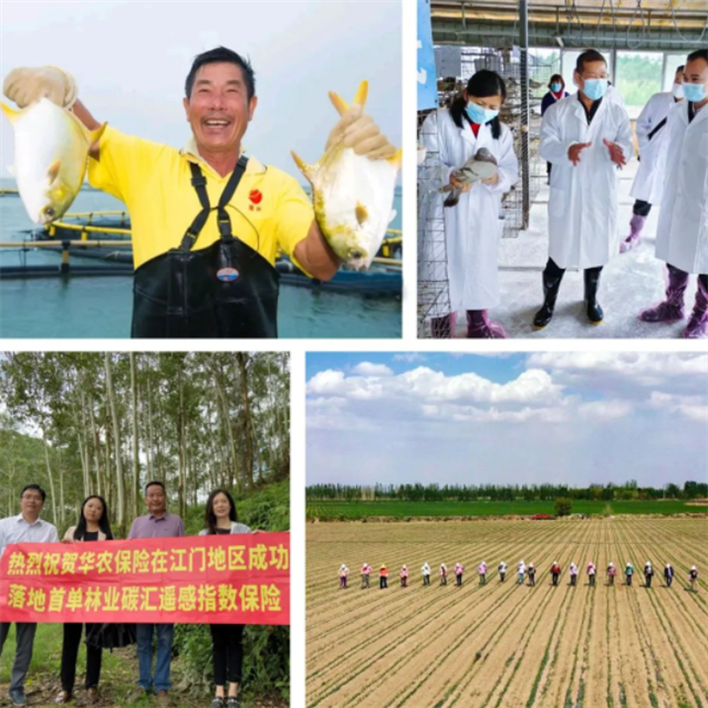 1678069290278726.png 13.png