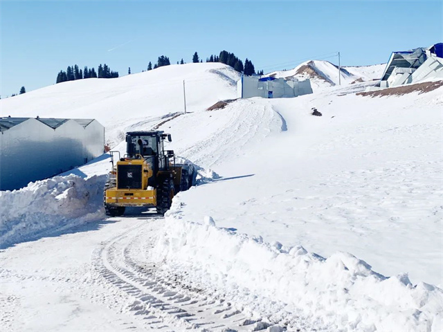 1687246461722555.jpg 8.jpg