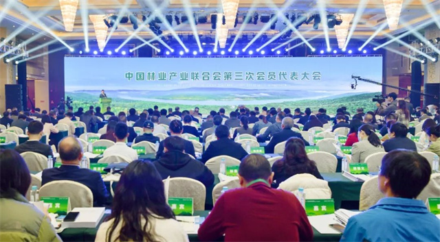 1704966264309015.jpg 640.jpg