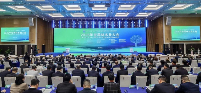 1763946635972667.jpg 大会640.jpg